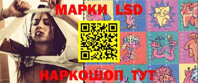 apvp Краснодар