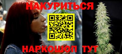 apvp Краснодар