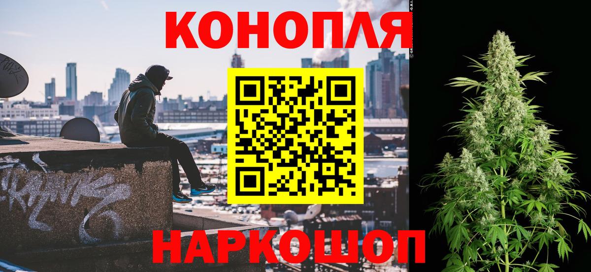 Юрга  Каннабис сатива  Конопля конопля  Вход с VPN  Бошки Шишки конопля 